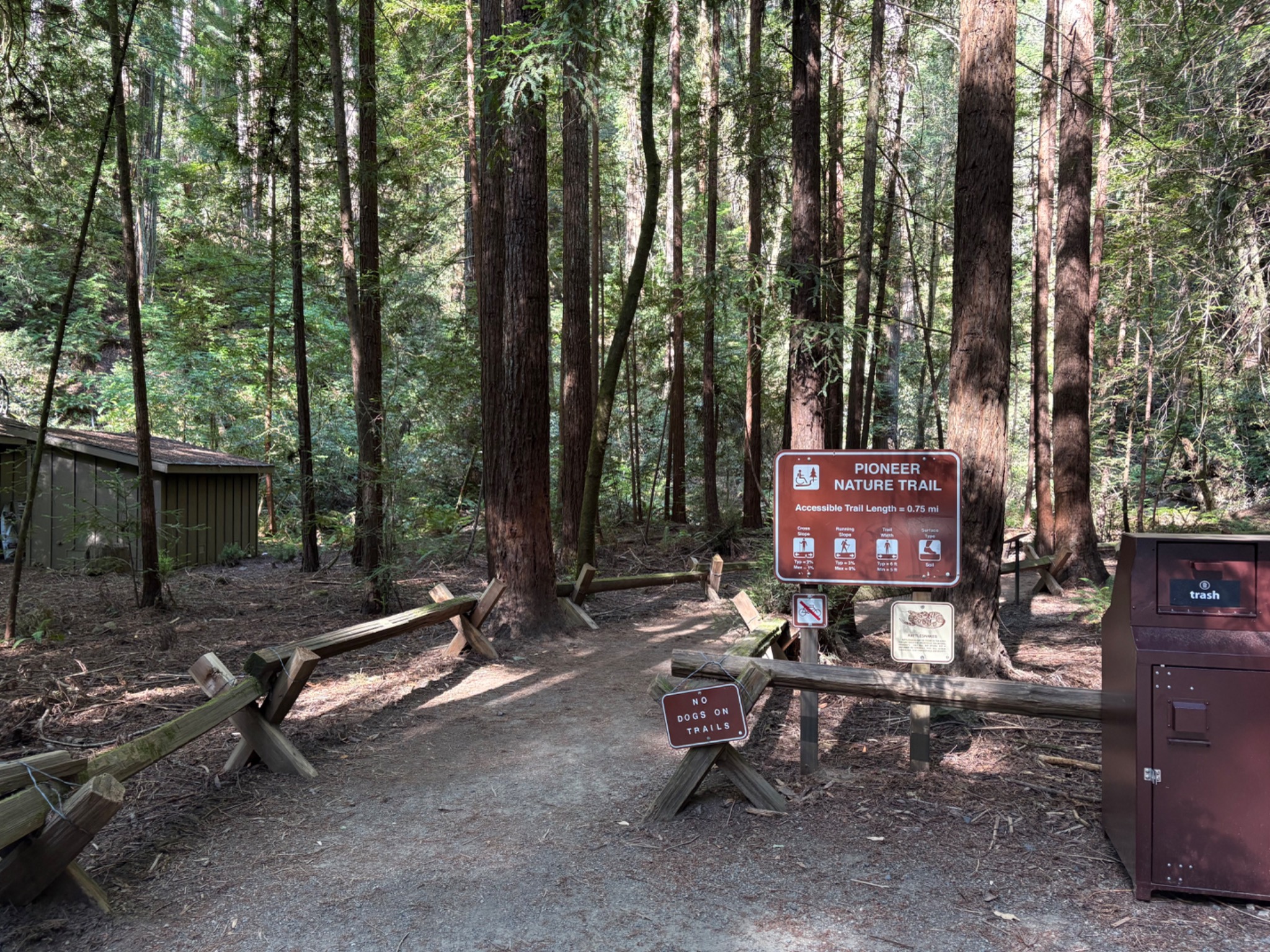Armstrong Redwoods State Natural Reserve